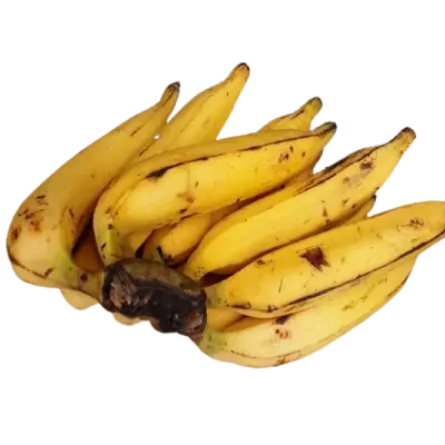 Banane Plantain Bio