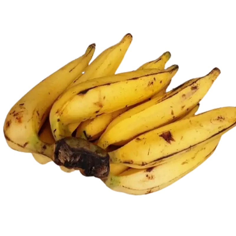 Banane Plantain Bio