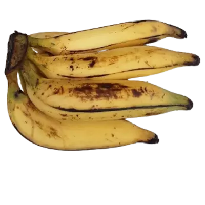 Banane Plantain Bio