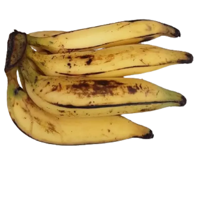 Banane Plantain Bio