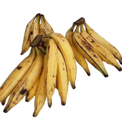 Banane Plantain Bio