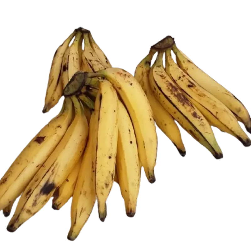 Banane Plantain Bio