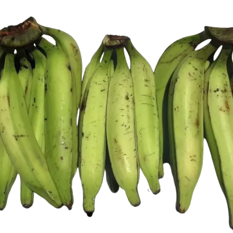 Banane Plantain Bio