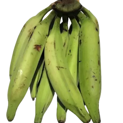 Banane Plantain Bio