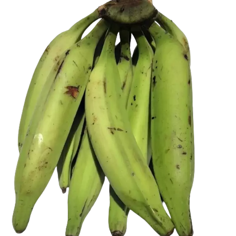 Banane Plantain Bio