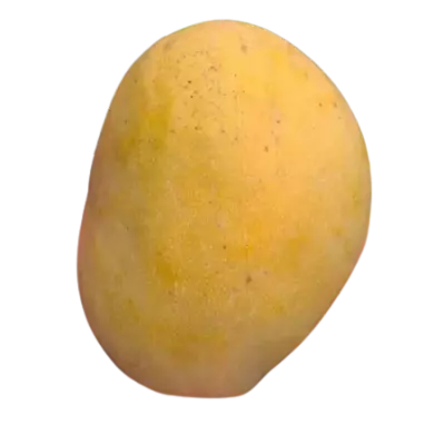 Mangue julie